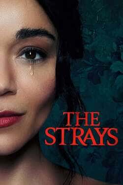 The Strays คนหลงทาง (2023) The Strays คนหลงทาง (2023)